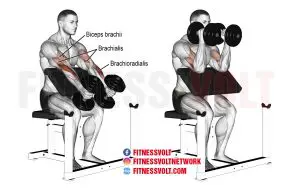 Dumbbell Hammer Preacher Curl