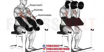 Dumbbell Hammer Preacher Curl