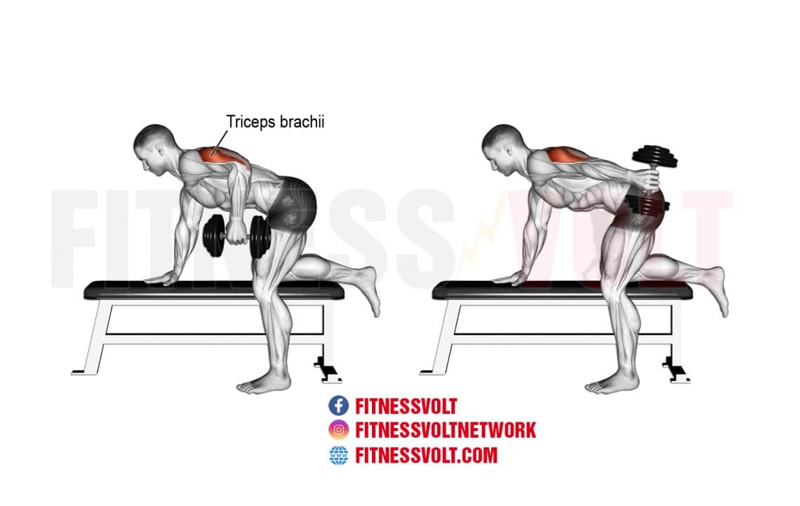 Dumbbell Kickback (Triceps) – Fitness Volt