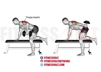 Master the Tricep Dumbbell Kickback for Stronger Arms