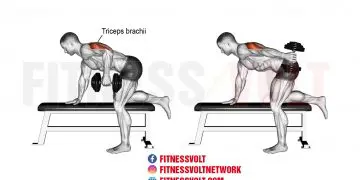 Master the Tricep Dumbbell Kickback for Stronger Arms