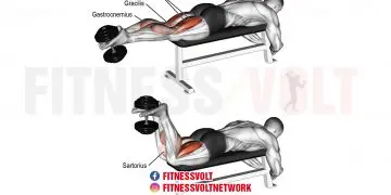 Dumbbell Leg Curl: Target Your Hamstrings for Maximum Gains