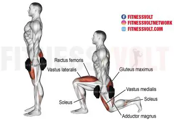 Ultimate Guide to Mastering the Dumbbell Lunge for Full Leg Strength