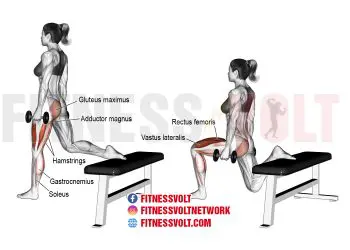 Dumbbell One-Leg Split Squat: Strengthen Your Legs & Glutes