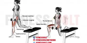 Dumbbell One-Leg Split Squat: Strengthen Your Legs & Glutes