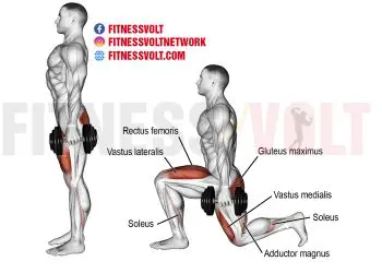 Dumbbell Rear Lunge: Strengthen Quads, Glutes & More!