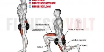 Dumbbell Rear Lunge: Strengthen Quads, Glutes & More!