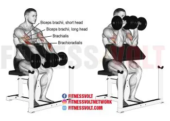 Dumbbell Reverse Preacher Curl: Target Your Arm Muscles!