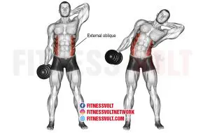 Dumbbell side bend