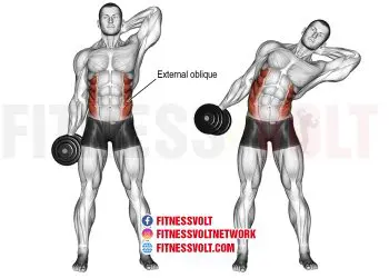Dumbbell side bend