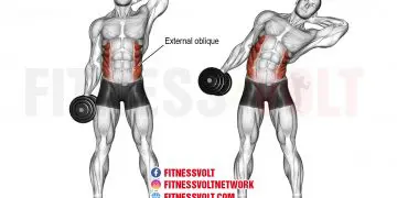 Dumbbell side bend