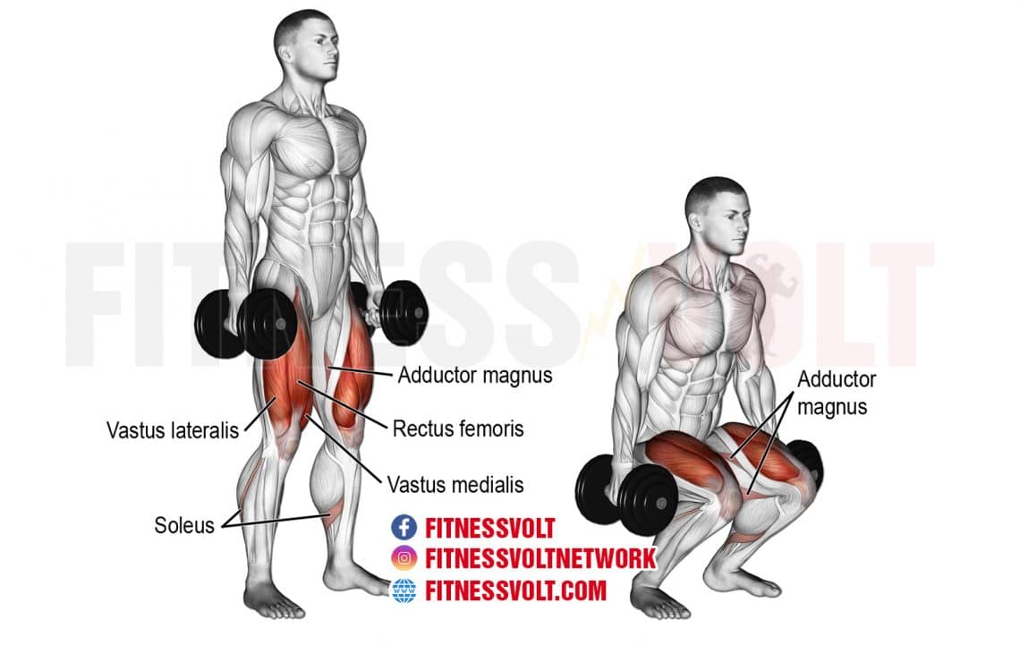 Dumbbell Squat vs. Barbell Squat: Which One Should You Do? – Fitness Volt