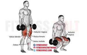 Dumbbell squat