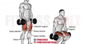 Dumbbell squat