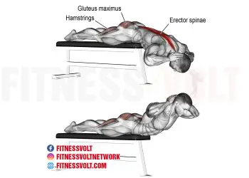 Strengthen Your Back: Flat Bench Hyperextension for Full Power