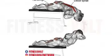 Strengthen Your Back: Flat Bench Hyperextension for Full Power