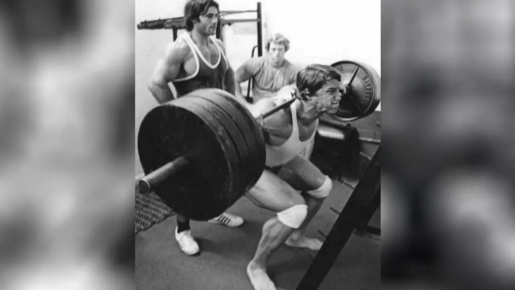 Free Weight Barbell Squat
