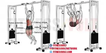 Hanging Leg Raise: Target Your Abs, Hips, and Core Strength