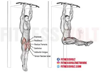 Master the Hanging Straight Leg Raise for Core Strength