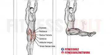 Master the Hanging Straight Leg Raise for Core Strength