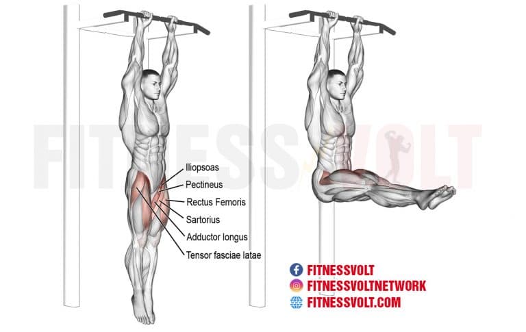 Utilize The Hanging Leg Raise For Impressive Core Development Fitness