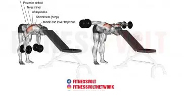 Master the Bent-Over Dumbbell Lateral Raise for Strong Shoulders