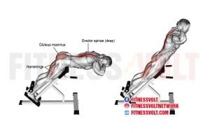 How To Do Hyperextension (Spinal Erectors, Hamstrings) – Fitness Volt