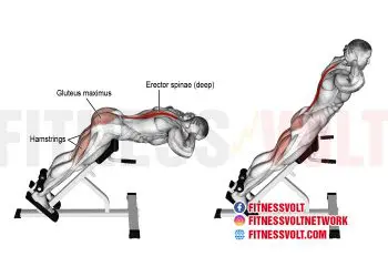 Master Hyperextensions for Stronger Spinal Erectors & Hamstrings