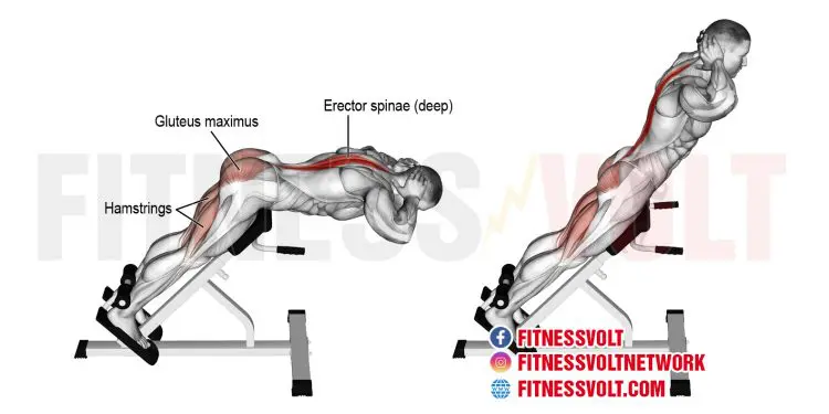 Master Hyperextensions for Stronger Spinal Erectors & Hamstrings