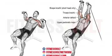 Incline Cable Bench Press: Target Your Chest and Arms Effectively