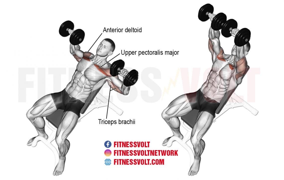The Perfect OldSchool Chest Workout Routine For Pure Mass and Strength