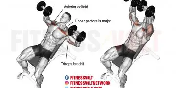 Incline Dumbbell Press