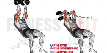 Incline Dumbbell Extension