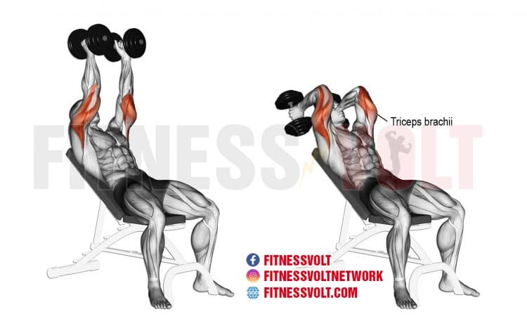 Incline Dumbbell Extension