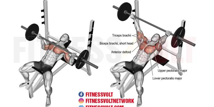 Incline Reverse-Grip Barbell Bench Press for Chest Gains