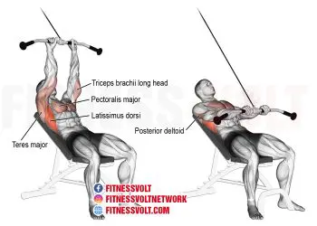 Incline Straight-Arm Pull-Down: Build Stronger Lats Today!