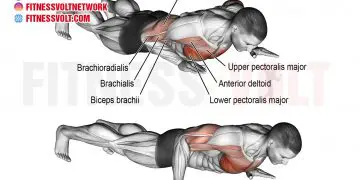 Isometric Wipers: Master Core Strength & Stability Today!