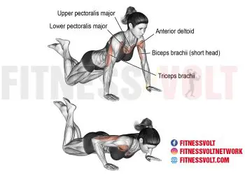 Knee Push-Up: Strengthen Your Chest and Core Effectively