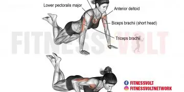 Knee Push-Up: Strengthen Your Chest and Core Effectively