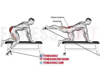 Kneeling Cable Hip Extension: Strengthen Glutes & Hamstrings