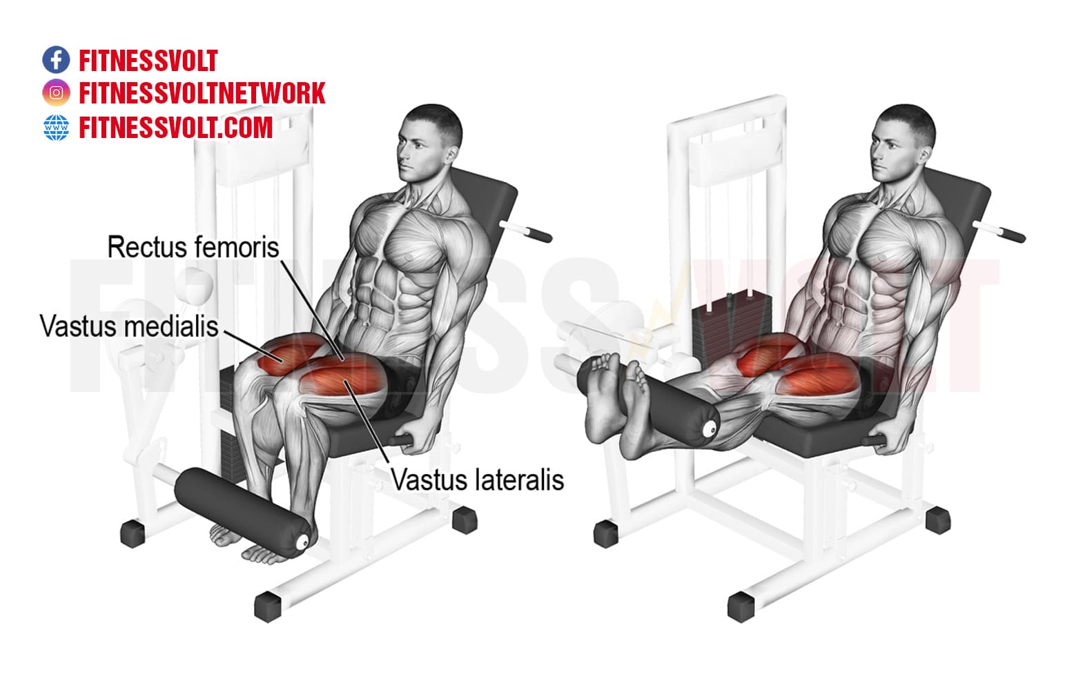 Band Seated Leg Extension - Video Guide