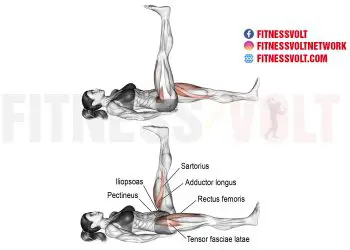 Lying Alternating Leg Raise: Strengthen Abs & Hip Flexors