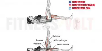 Lying Alternating Leg Raise: Strengthen Abs & Hip Flexors