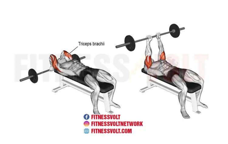 How To Do Lying Barbell Tricep Extension (Triceps)