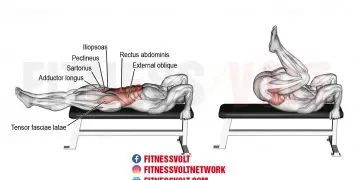 Lying Leg Raise: Target Your Abs, Hips, and Flexors Effectively!