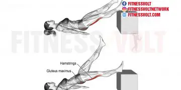 Activate Your Glutes: Lying Single Straight-Leg Hip Extension