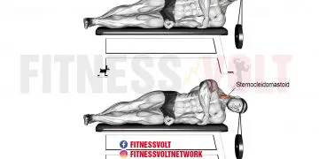 Strengthen Your Neck: Lying Weighted Lateral Neck Flexion