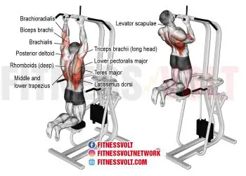 Master the Machine-Assisted Close Neutral-Grip Pull-Up