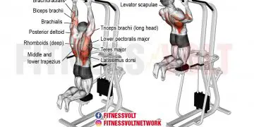 Master the Machine-Assisted Close Neutral-Grip Pull-Up
