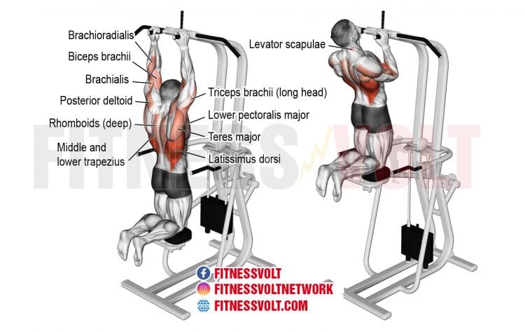 Machine-Assisted Close Neutral-Grip Pull-Up (Back) – Fitness Volt